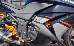 KAWASAKI NINJA 250R EX250K