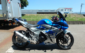 SUZUKI GSX250R DN11A