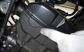 HONDA REBEL 250 A MC49