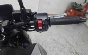 HONDA CB750 HORNET 2025 RH24