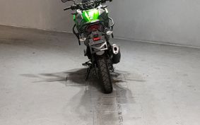 KAWASAKI VERSYS X250 LE250D