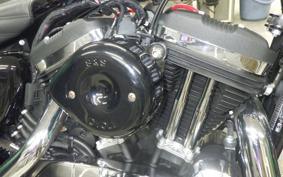 HARLEY XL1200XS 2019