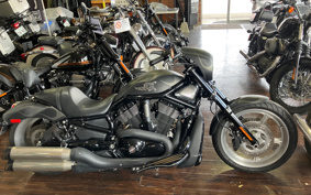 HARLEY HARLEY VRSCDX1250 2007 HHZ