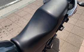 SUZUKI STROM 250 DS11A