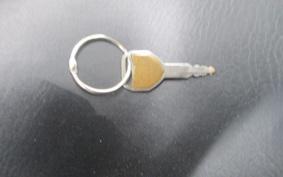 HONDA STEED 400 1994 NC26