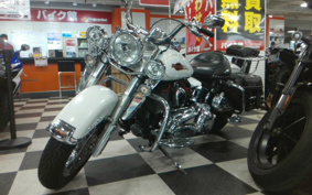 HARLEY FLSTC 2007 BW5
