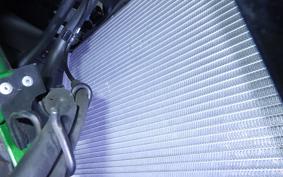 KAWASAKI NINJA 1000 SX 2024 ZXT02K