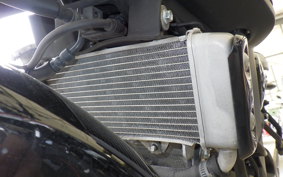 YAMAHA XSR125 RE46J