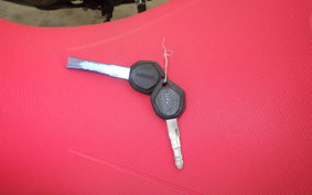 DUCATI MONSTER 937 SP 2025