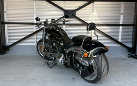 HARLEY FLFBS 2021 YGK
