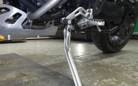 TRIUMPH TIGER 900 RALLY PRO 2022