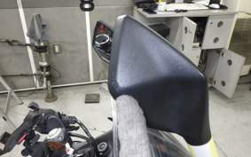 KAWASAKI NINJA 250 2