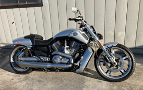 HARLEY  HARLEY VRSCF 2009 HPH