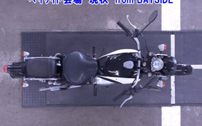KAWASAKI ESTRELLA250 RS