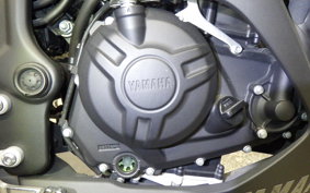 YAMAHA YZF-R25 2007 RG10J