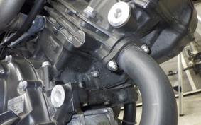 HONDA VTRF250 2023 MC33