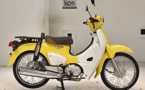 HONDA C110 SUPER CUB 2019