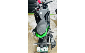 KAWASAKI NINJA 1000SX 2024 ZXT02K