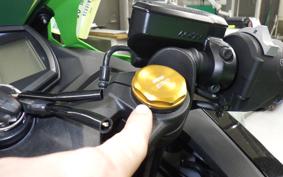 KAWASAKI ZX-25R ZX250E