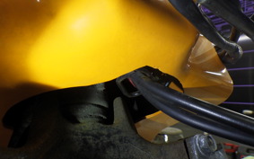 HONDA ZOOMER 2016 AF58