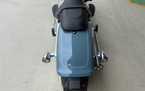 HARLEY FLFBS 2025 YGK