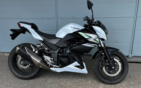 KAWASAKI Z250 ER250C