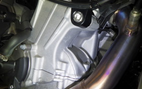 APRILIA TUONO 660 2025