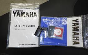 YAMAHA X-MAX 250 2026 SGA8J