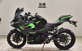 KAWASAKI NINJA 250 2019