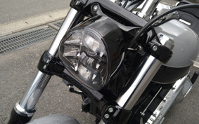 HARLEY FXBR 2025 YEZ