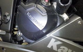 KAWASAKI NINJA 250 ABS EX250L