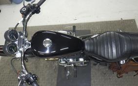 OTHER +HD. XL50 2006