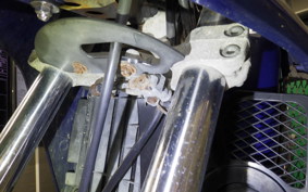 HONDA AX-1 2019 MD21