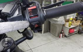 HONDA REBEL 250 S 2025 MC49