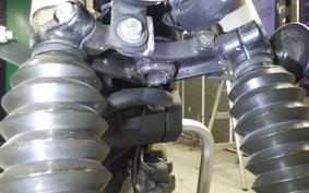 HONDA CT125 HUNTER CUB 2025 JA55