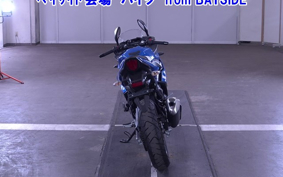 OTHER GSX250 R