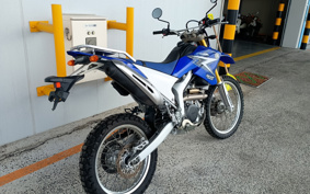 YAMAHA WR250R DG15J