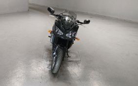 YAMAHA FZ1 FAZER 2008 RN21J
