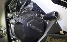 KAWASAKI NINJA 250 ABS EX250L