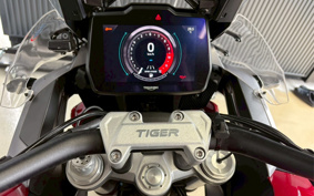 TRIUMPH TIGER 1200GTPRO 2025 TAP22V
