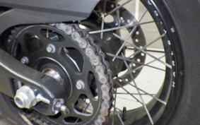 HARLEY ﾊﾟﾝ AMERICA1250S 2024