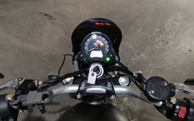TRIUMPH STREET SCRAMBLER 2024 DAD78G