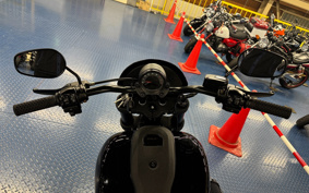 HARLEY FXLRS 2024 YW5