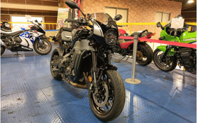 YAMAHA XSR900 2024 RN80J