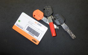 KTM 1290 SUPER DUKE R 2015