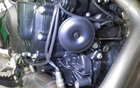 BMW F900GS 2024