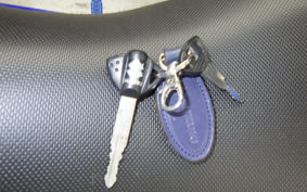 SUZUKI GSX250RA 2022