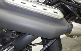 TRIUMPH SCRAMBLER400X 2024