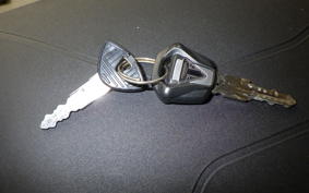 TRIUMPH TIGER 900 RALLY PRO 2022