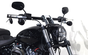 HARLEY FXBRS 2021 YHK